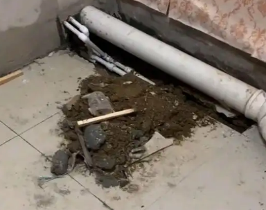 大悟卫生间漏水检测哪家好