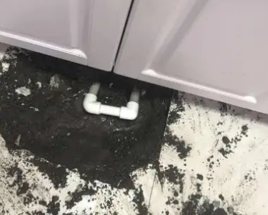 大悟查漏水哪家好